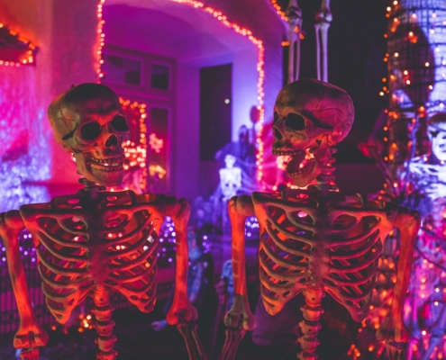 Two skeletons in a room with pink fairy lights in the background. Skeletons looking at each other, one has mouth open in surprise.
